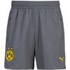 PUMA Borussia Dortmund Fu&szlig;ballshorts Herren - cool dark gray-faster yellow