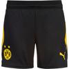 PUMA Borussia Dortmund Shorts Kinder - puma black-faster yellow