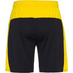 Rückansicht von PUMA Borussia Dortmund 25-26 Funktionsshorts Herren puma black-faster yellow