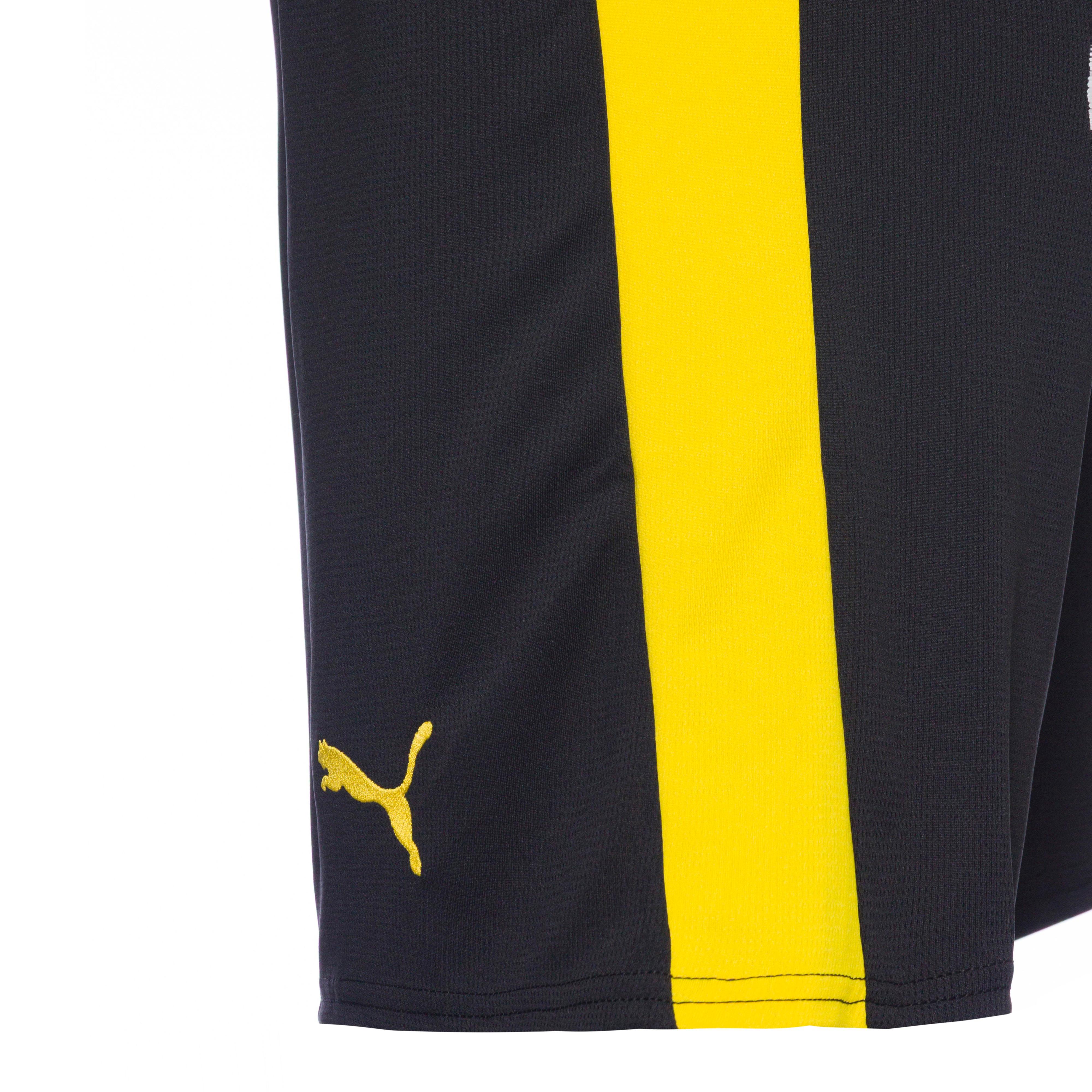 Thumbnail - PUMA Borussia Dortmund 25-26 Funktionsshorts Herren