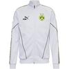 PUMA Borussia Dortmund Trainingsjacke Herren - silver mist-yellow alert