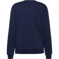 Rückansicht von CHAMPION Icons Sweatshirt Herren sky captain