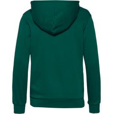 Rückansicht von CHAMPION LEGACY ICONS Hoodie Kinder forest peak green