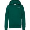 CHAMPION LEGACY ICONS Hoodie Kinder - forest peak green
