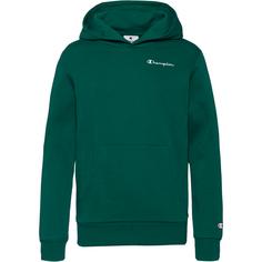 CHAMPION LEGACY ICONS Hoodie Kinder forest peak green