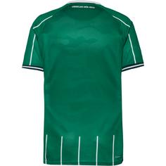 Rückansicht von hummel WERDER BREMEN 25-26 HOME Fußballtrikot abundant green
