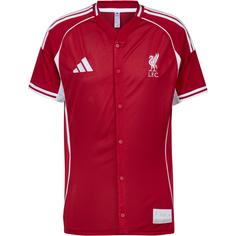 adidas FC Liverpool Icon Fanshirt Herren strred