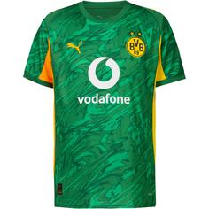 PUMA Borussia Dortmund 25-26 Torwart Torwarttrikot Herren archive green-intense orange