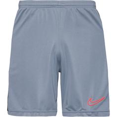 Nike Academy Fußballshorts Herren cool grey-black-bright crimson
