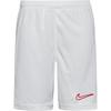 Nike Academy Fu&szlig;ballshorts Kinder - sail-black-university red