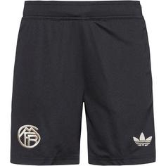 adidas FC Bayern München 25-26 3rd Fußballshorts Kinder black