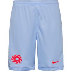 Nike Academy Fußballshorts Kinder royal tint-royal tint-bright crimson
