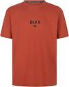 BEAR Maze T-Shirt Herren - autumn glaze