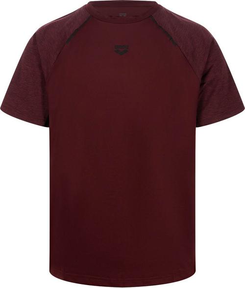 Arena Funktionsshirt Herren