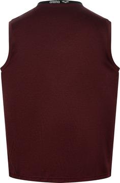 Rückansicht von Arena Funktionstank Herren chocolate truffles mleange