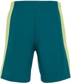Rückansicht von FILA Tennisshorts Herren tpg shaded spruce