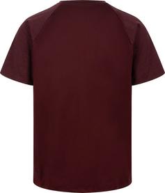 Rückansicht von Arena Funktionsshirt Herren chocolate truffles mleange