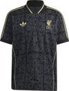 adidas FC Liverpool Teamtrikot Herren - carbon-halgol