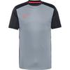 Nike Academy 25 Funktionsshirt Herren - cool grey-black-bright crimson