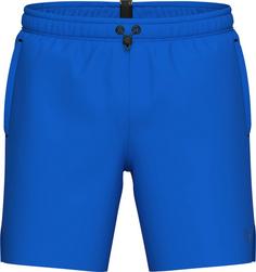 Arena Evo Badeshorts Herren blue china