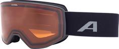ALPINA Venet Skibrille black matt