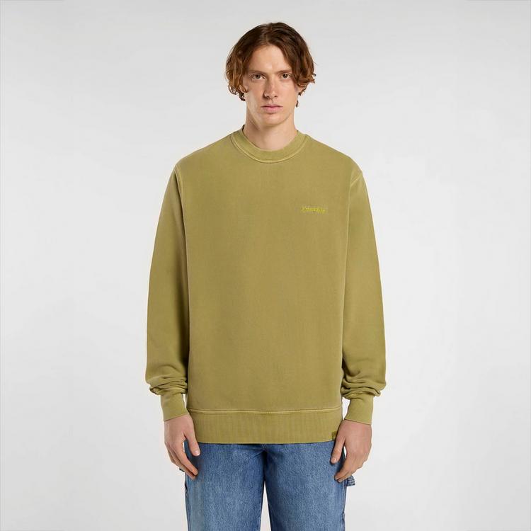 Dickies Dickies Plentywood Sweatshirt Herren - evergreen sprig - 0 | SportScheck