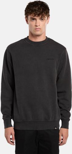 Rückansicht von Dickies Plentywood Sweatshirt Herren black