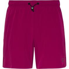 Arena Evo Boardshorts Herren dark purple