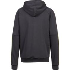 Rückansicht von PUMA Borussia Dortmund Hoodie Herren flat dark gray-yellow alert