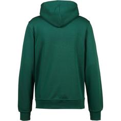 Rückansicht von CHAMPION Icons Hoodie Herren forest peak green
