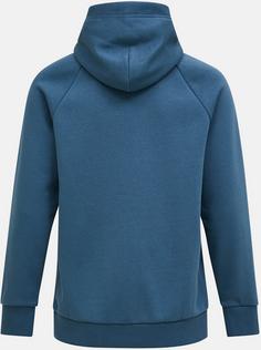 Rückansicht von Peak Performance Original Hoodie Herren mountain lake