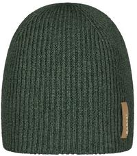Barts Gullfoss Beanie Herren - dark celadon