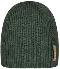 Barts Gullfoss Beanie Herren dark celadon