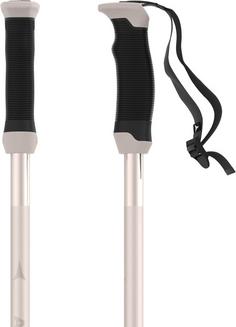 Rückansicht von ATOMIC AMT SQS W Skistock Damen sand