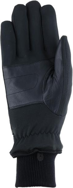 Rückansicht von Roeckl Hengersberg Skihandschuhe black