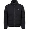 Dickies Summerdale Steppjacke Herren - black