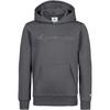 CHAMPION LEGACY ICONS Hoodie Kinder - forged steel grey
