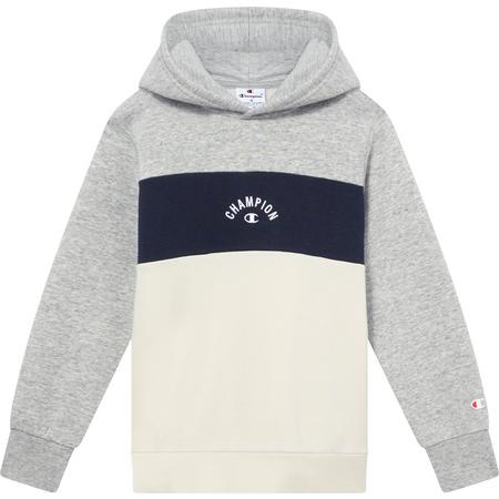 CHAMPION LEGACY ICONS Hoodie Kinder Hoodies 140 Normal  | 08054041854827