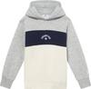 CHAMPION LEGACY ICONS Hoodie Kinder - new oxford grey melange