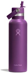Hydro Flask 21 OZ STANDARD FLEX STRAW Isolierflasche - beachplum purple