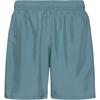 Under Armour Wordmark Funktionsshorts Herren - blue