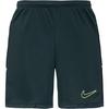 Nike Academy Fu&szlig;ballshorts Herren - seaweed-black-limelight