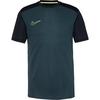Nike Academy 25 Funktionsshirt Herren - seaweed-black-limelight-limelight