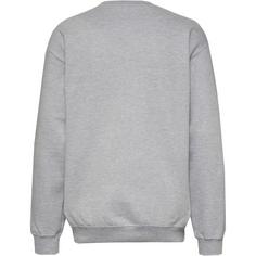 Rückansicht von Fanatics NFL Sweatshirt Herren sports grey