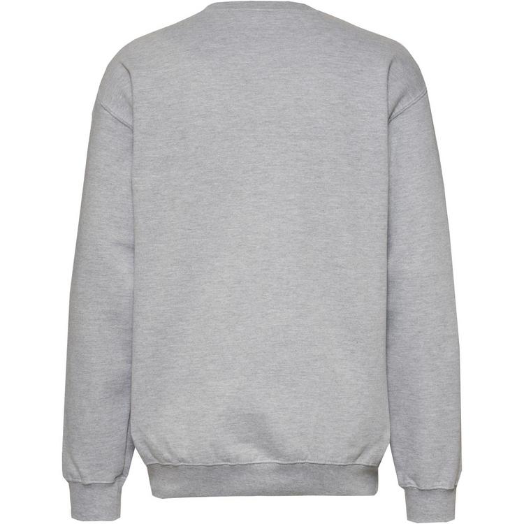 Fanatics Fanatics NFL Sweatshirt Herren - sports grey - 0 | SportScheck