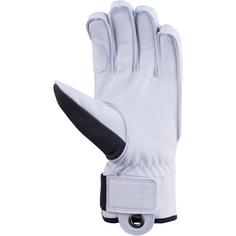 Rückansicht von Hestra Army Leather Patrol 5 finger Skihandschuhe charcoal