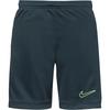 Nike Academy Fu&szlig;ballshorts Kinder - seaweed-black-limelight