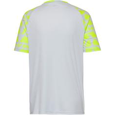 Rückansicht von PUMA Borussia Dortmund Fanshirt Herren silver mist-yellow alert