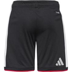 Rückansicht von adidas DFB H SHO Fußballshorts Herren black