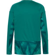 Rückansicht von adidas DFB Deutschland Home GK Fußballtrikot Herren actgrn